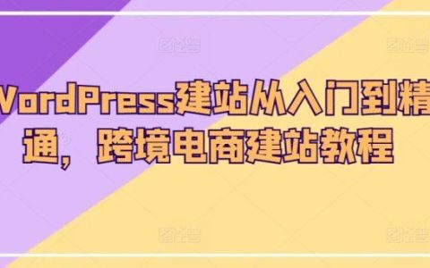 小王子的外貿(mào)筆記WordPress建站從入門到精通
